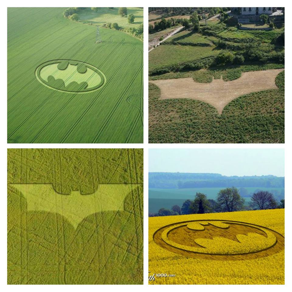 12241180_1715476538738586_7273199660448687129_n