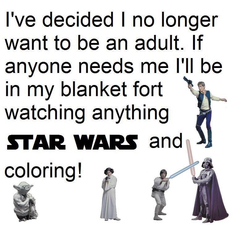 11046711_1529277154050392_2740448491938429691_n