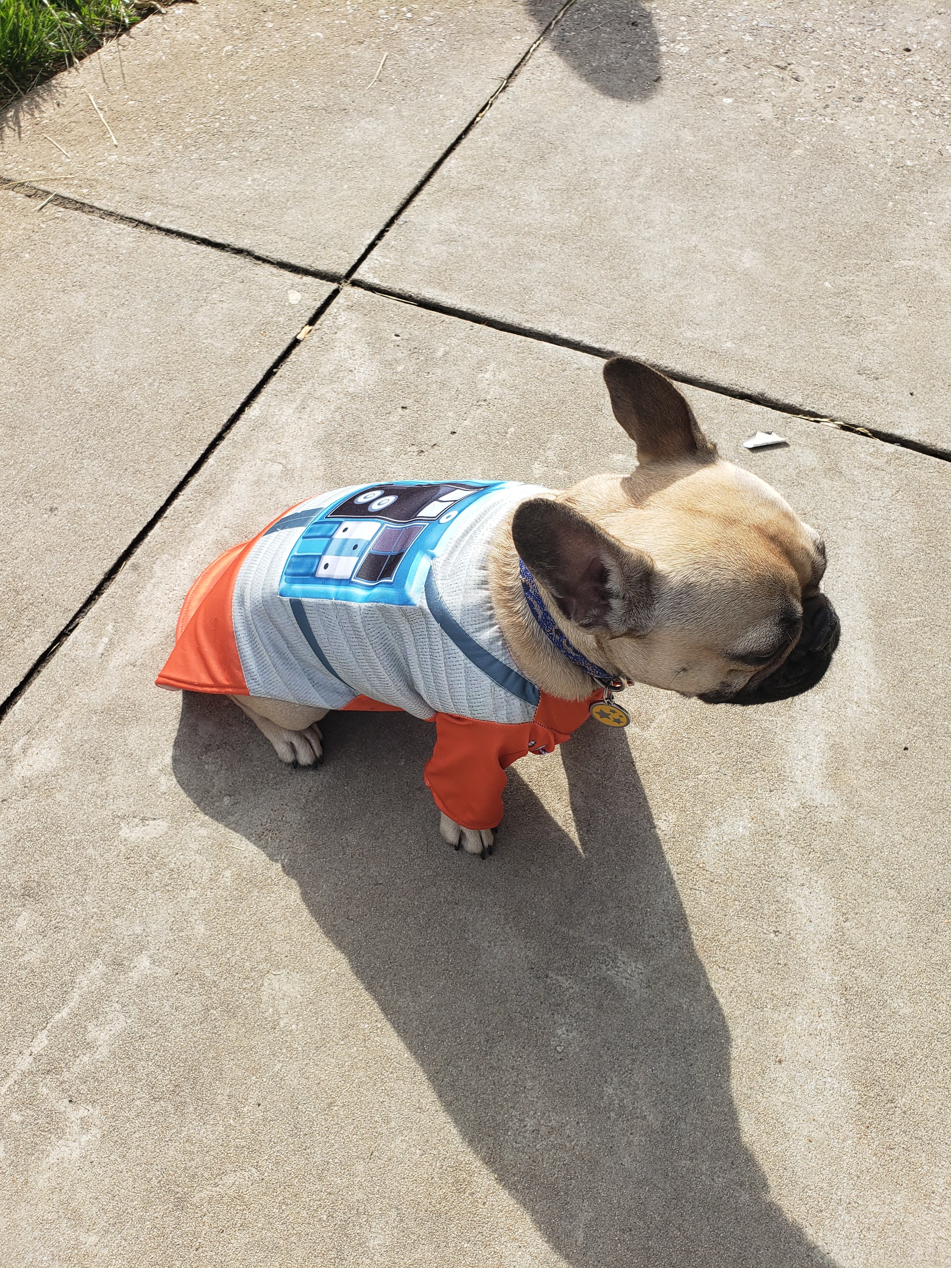 59658822_2169210276723767_4281546360718622720_n