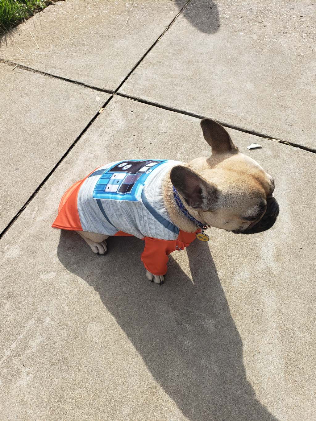 59658822_2169210276723767_4281546360718622720_n